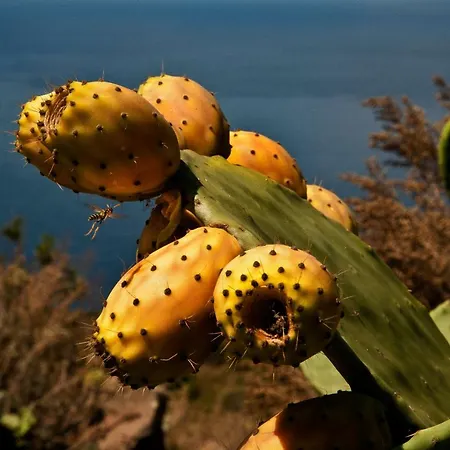 Feriehus Casa Zuleika