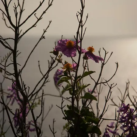 Casa Zuleika Lipari (Isola Lipari)