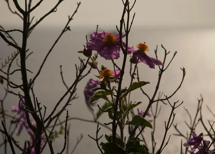 Casa Zuleika ליפארי