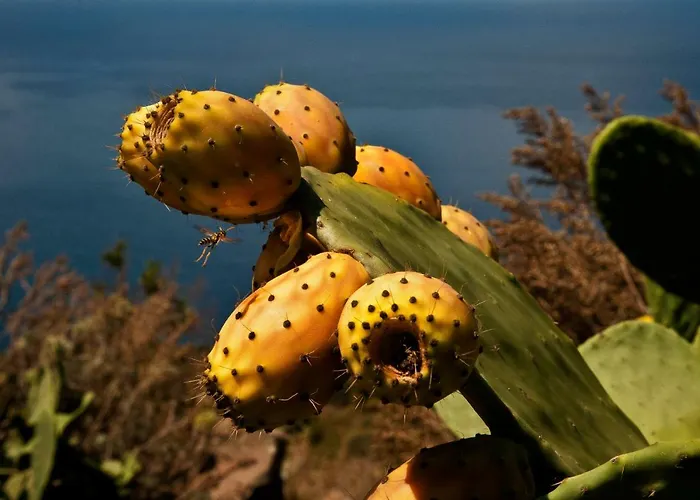 Prázdninový dům Casa Zuleika